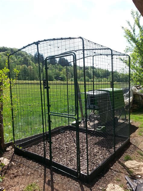 large outdoor chicken enclosure